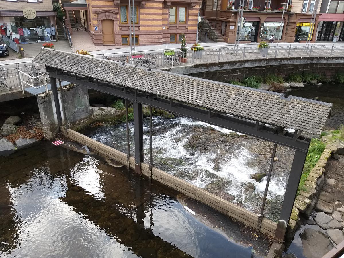 Hotel Sonne Bad Wildbad Eksteriør billede